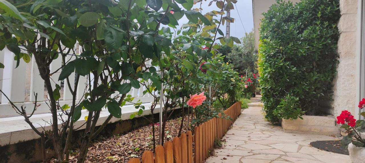 Le Petit Paradis Brive-la-Gaillarde Zewnętrze zdjęcie
